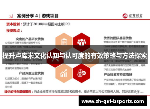 提升卢库米文化认知与认可度的有效策略与方法探索