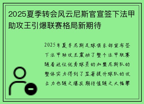 2025夏季转会风云尼斯官宣签下法甲助攻王引爆联赛格局新期待